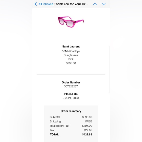 SAINT LAURENT PARIS 53MM Cat-Eye Sunglasses Pink - Picture 9 of 10